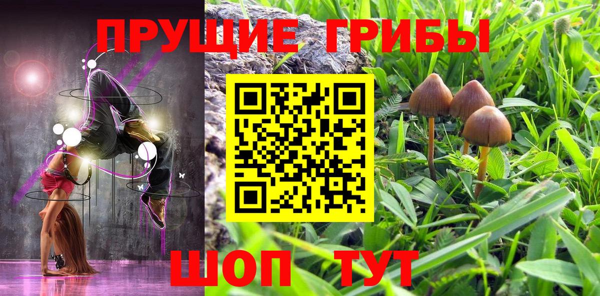 как найти   Галлюциногенные грибы Magic Shrooms  Вход с VPN  Берёзовский  Псилоцибиновые грибы мухоморы 